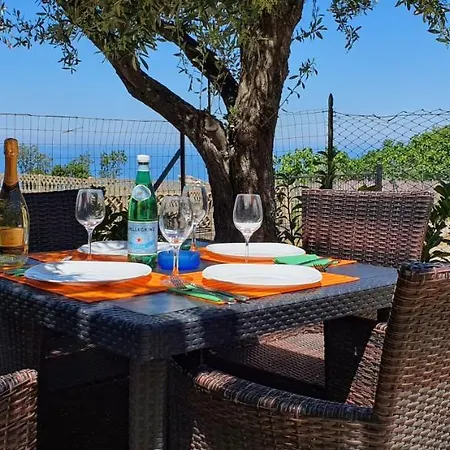 Cichello * 카포바티카노